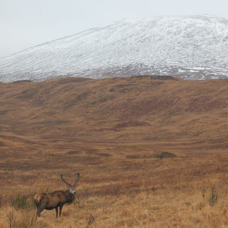 Loch Ness and Highlands