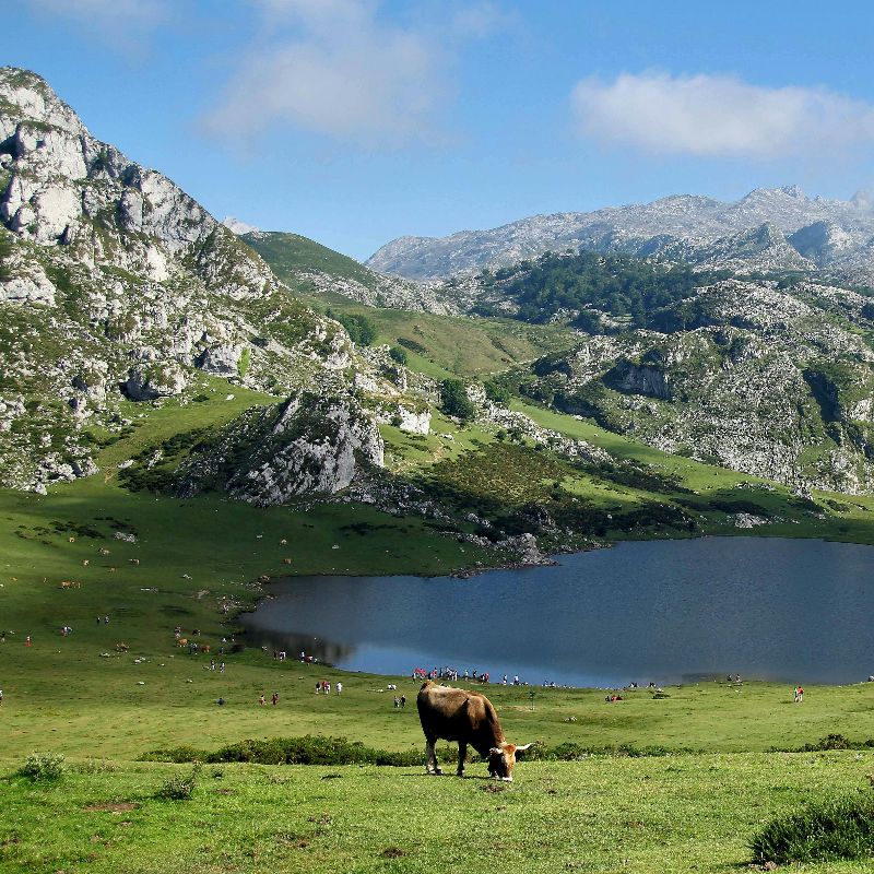 Asturias - The Green Spain Escape